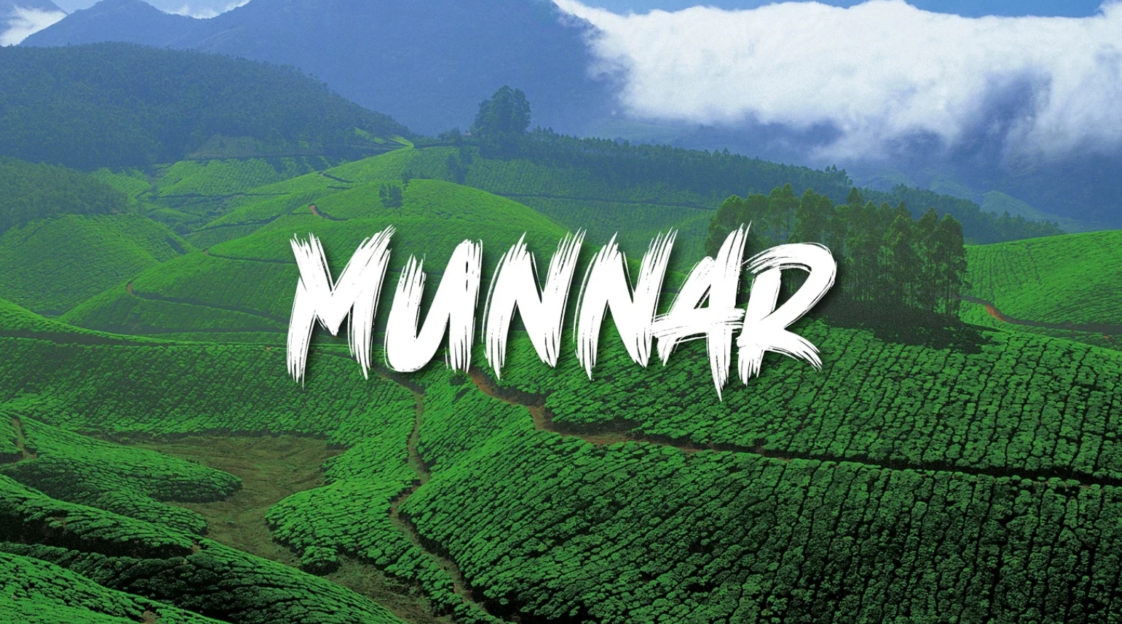 Breathing the Clouds: My Peaceful Days in Munnar